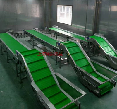 網(wǎng)帶輸送機，山核桃爬坡網(wǎng)帶提升機