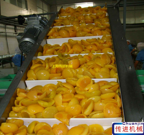 食品級(jí)皮帶輸送線 爬坡皮帶輸送機(jī)